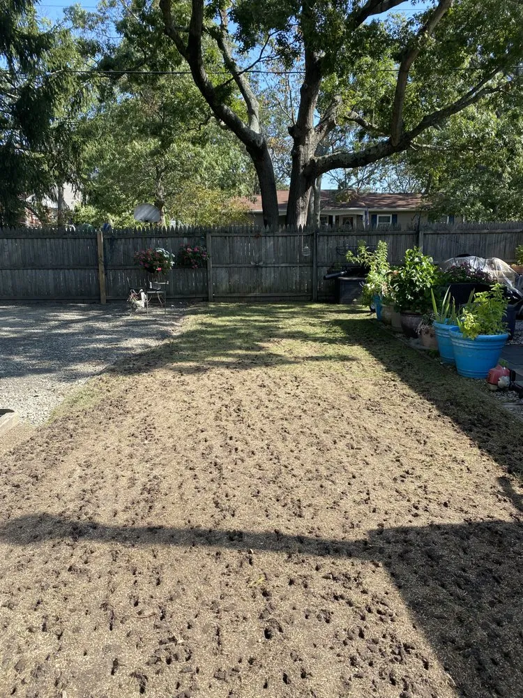 Top-rated yard maintenance in Neptune City, NJ - All Dream Landscaping