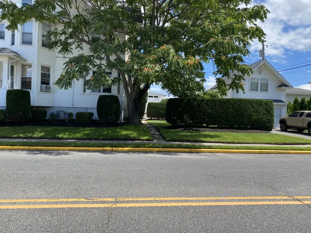 Professional landscaping services in Neptune City, NJ by All Dream Landscaping