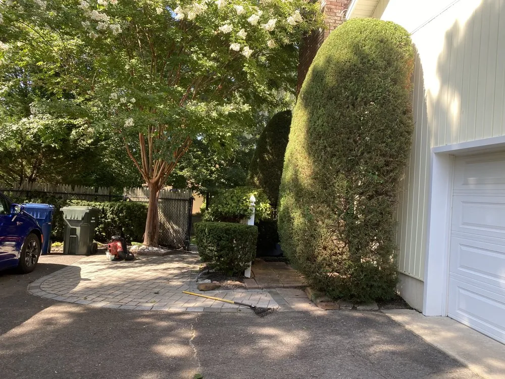 Professional lawn care service for beautiful yards across Neptune City, NJ - All Dream Landscaping