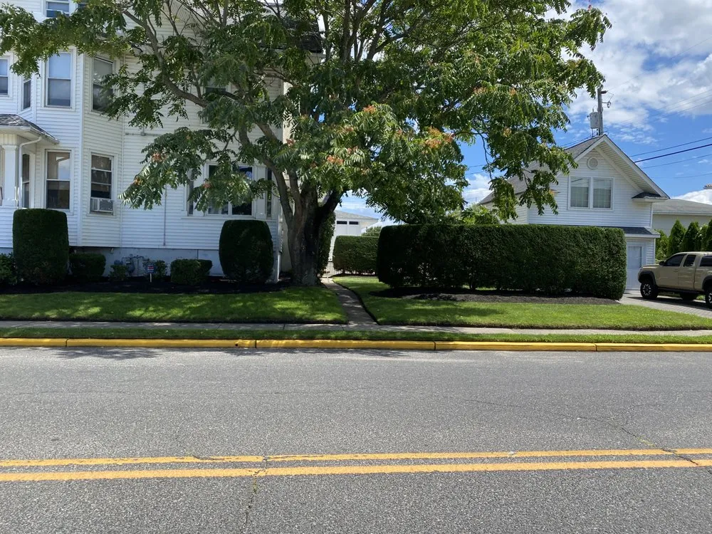 Local landscape design in Neptune City, NJ - All Dream Landscaping