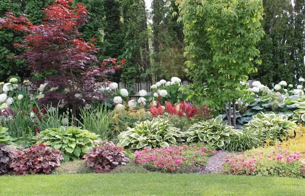 Reliable landscaping services for homes across Campbell, CA - All Earth Sunshine Valley Landscape & Maintenance