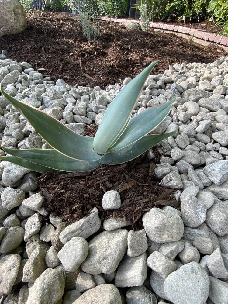 Expert landscape design with custom design across Pomona, CA - All Environmental Design