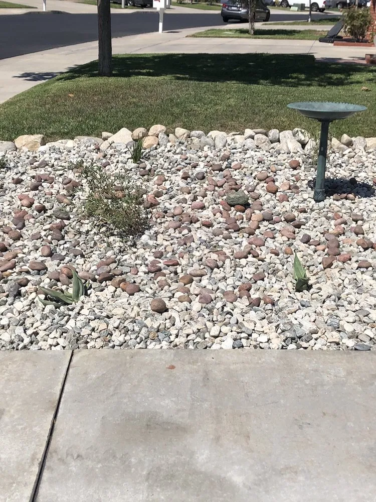 Local yard cleanup service for year-round maintenance in Pomona, CA by All Environmental Design