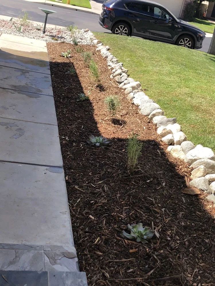 Reliable yard cleanup service with custom design in Pomona, CA by All Environmental Design