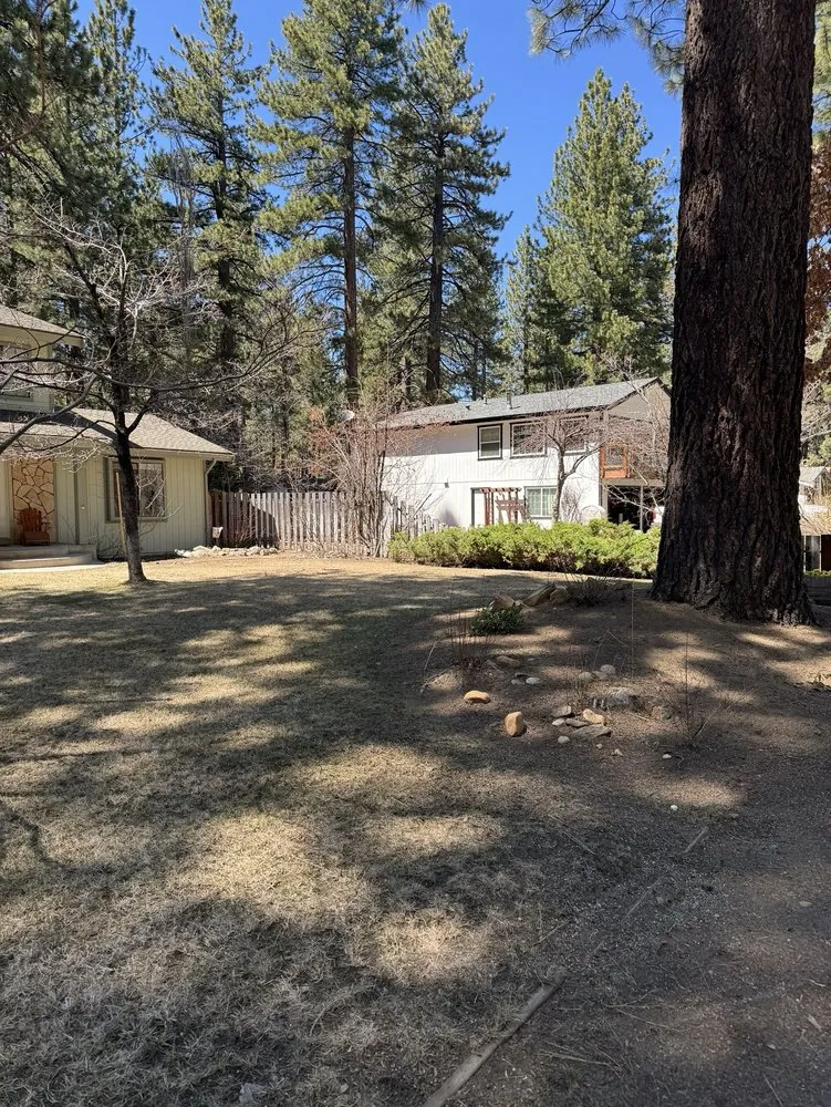 Reliable lawn care service for beautiful yards across South Lake Tahoe, CA - All Exclusive Construction