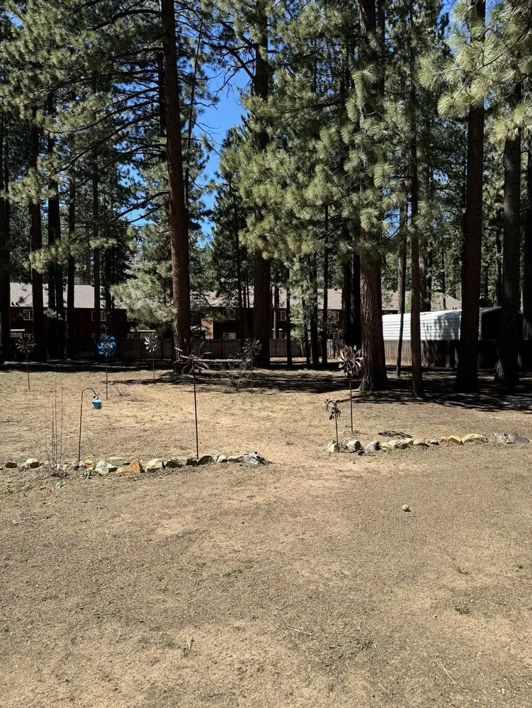 Local lawn care service in South Lake Tahoe, CA by All Exclusive Construction
