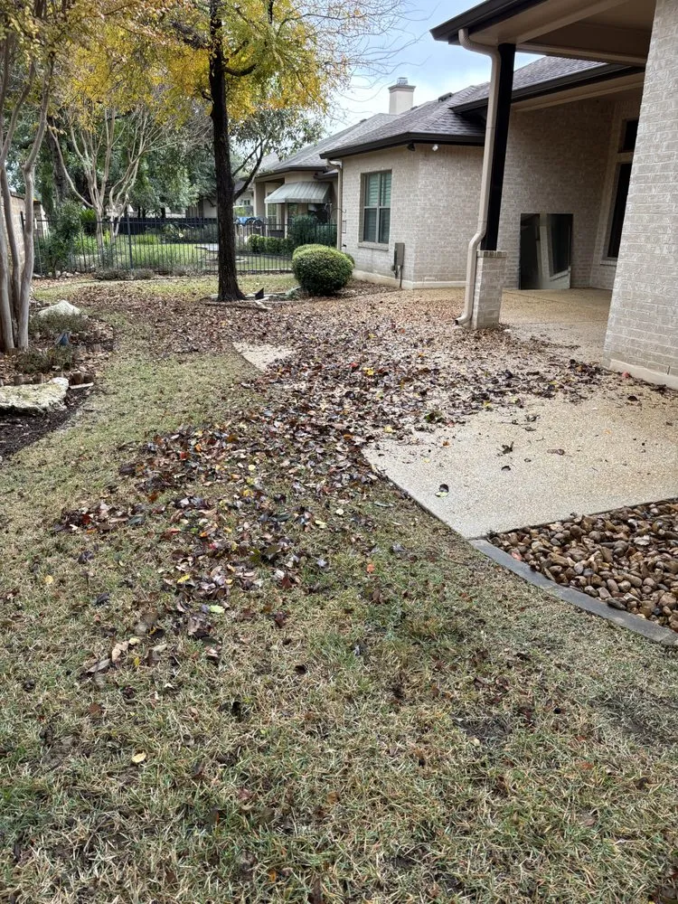 Trusted lawn care service experts serving San Antonio, TX - All Exterior Pro