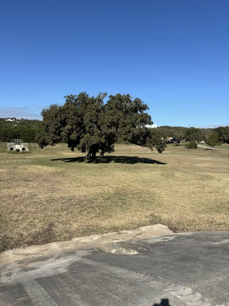 Custom landscape installation in San Antonio, TX by All Exterior Pro