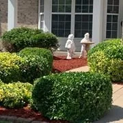 Professional yard maintenance experts serving Moscow Mills, MO - All Family Landscaping & Hauling