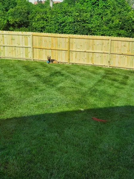 Expert outdoor landscaping for homes in Franklin, OH by All Fence Company of Ohio