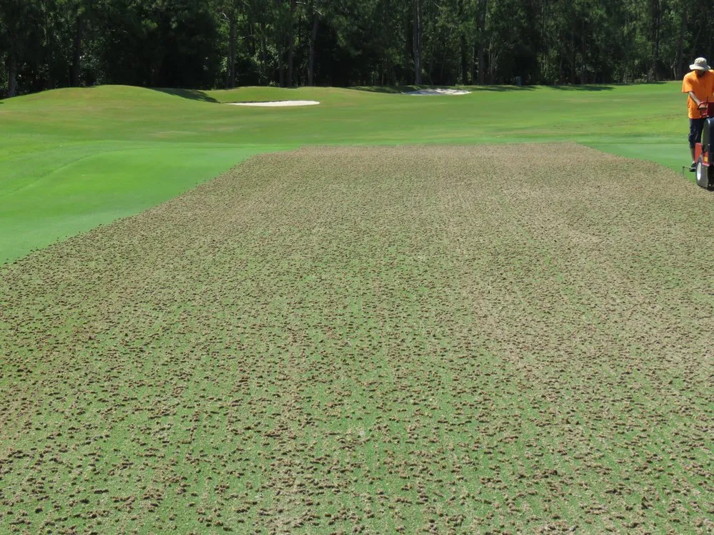 Top-rated residential landscaping near you in Live Oak, FL by All Florida Aerification