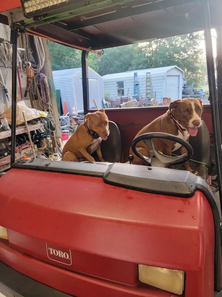 Professional landscaping services with custom design across Live Oak, FL - All Florida Aerification