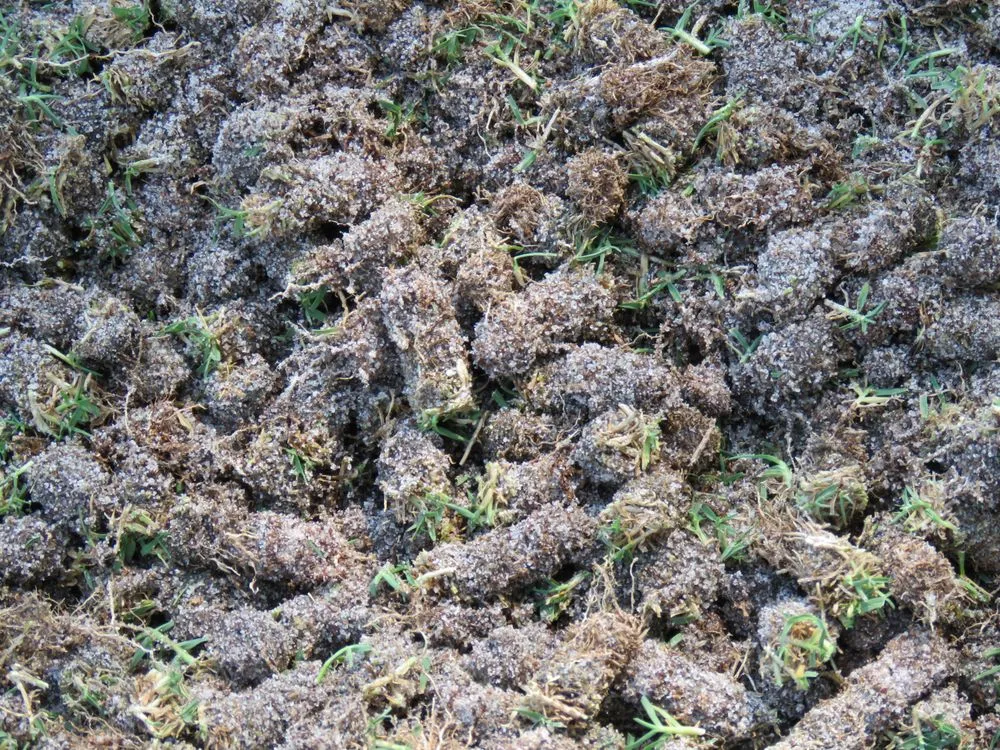 Reliable landscape installation in Live Oak, FL by All Florida Aerification