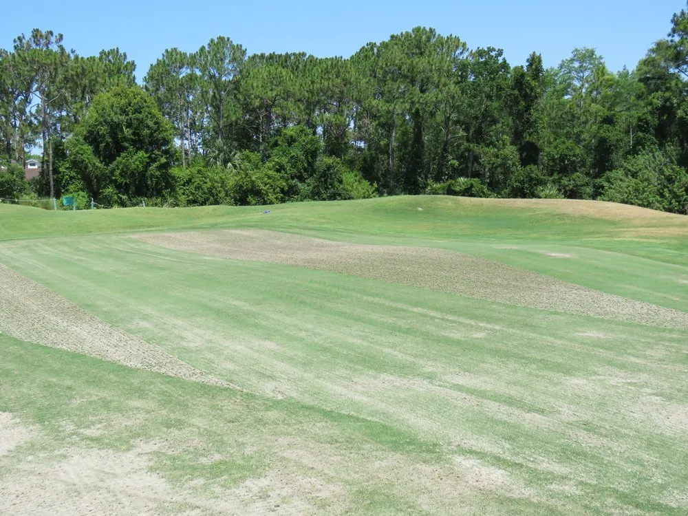 Affordable yard cleanup service in Live Oak, FL by All Florida Aerification