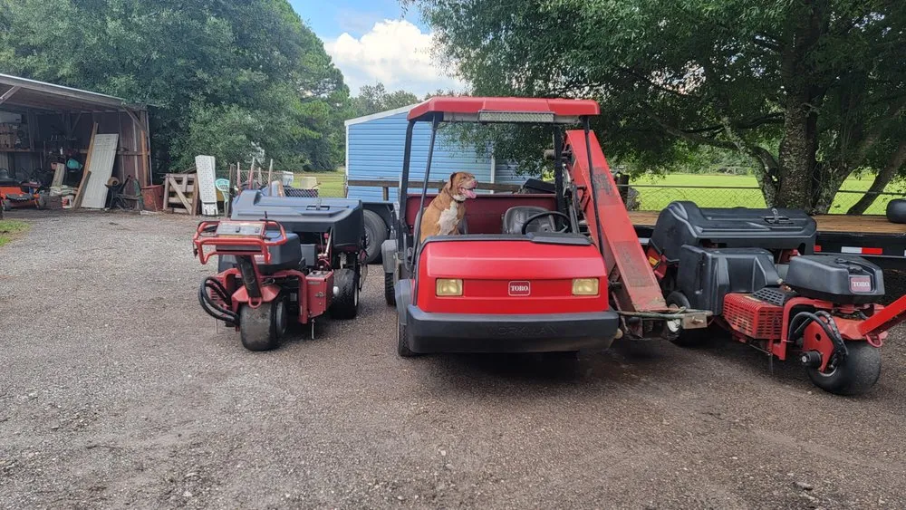 Expert yard cleanup service in Live Oak, FL - All Florida Aerification