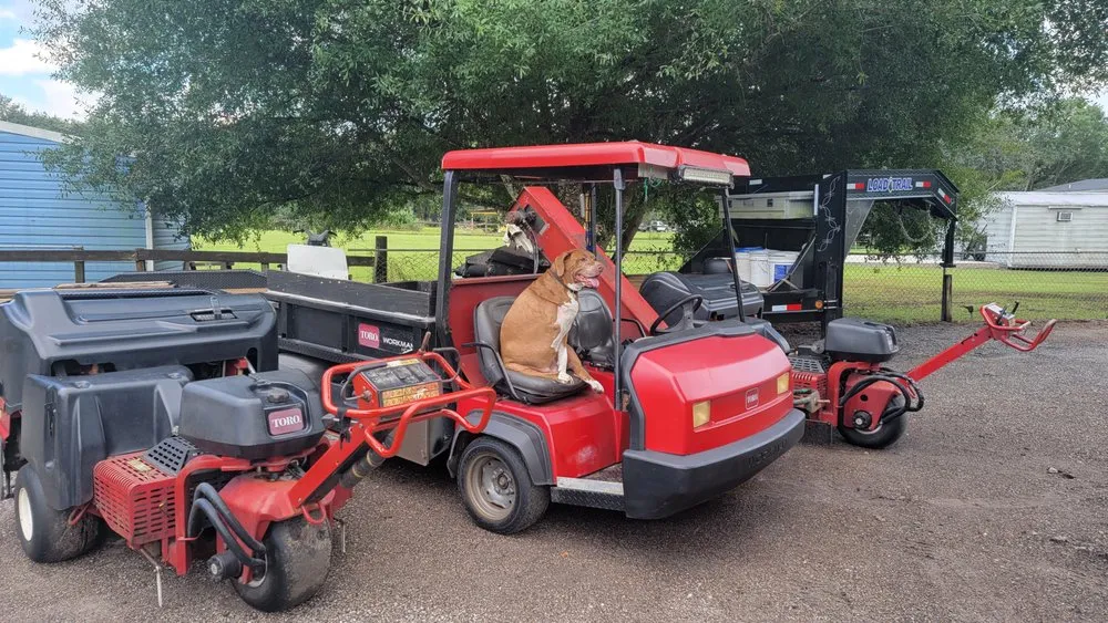 Trusted lawn mowing service experts serving Live Oak, FL - All Florida Aerification