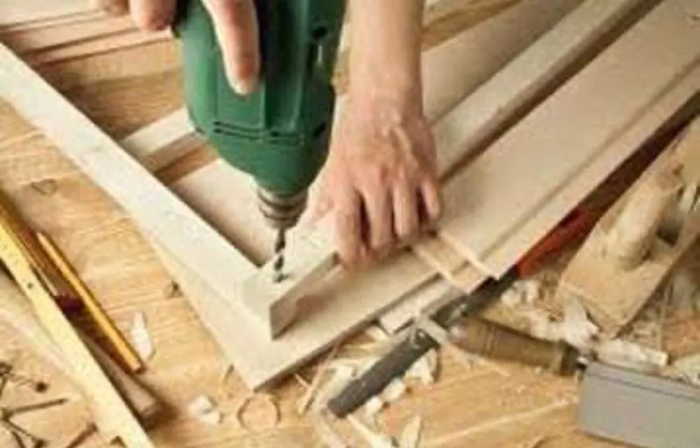 Trusted yard cleanup service in Jacksonville, FL - All Florida Products and Services