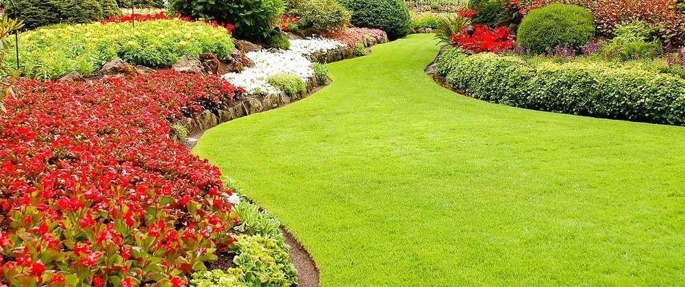 Expert yard cleanup service experts serving Jacksonville, FL - All Florida Products and Services