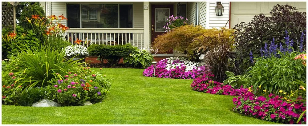 Reliable lawn mowing service in Jacksonville, FL by All Florida Products and Services