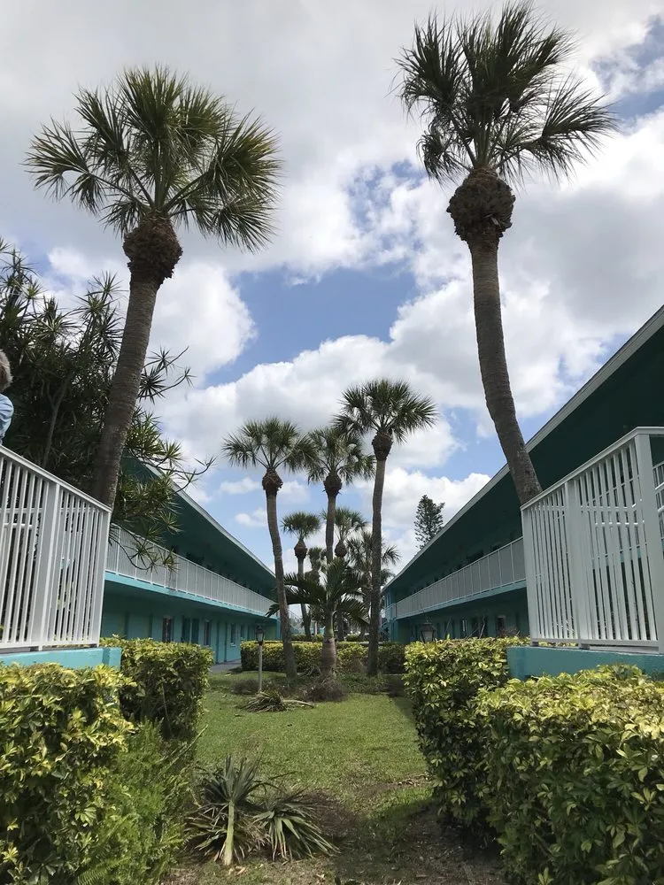 Trusted lawn care service in Sarasota, FL - All Florida Tree Care