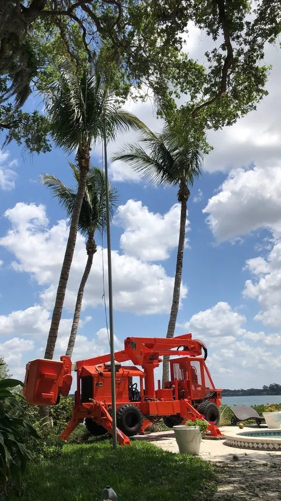 Affordable outdoor landscaping in Sarasota, FL - All Florida Tree Care