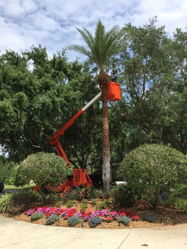 Expert landscape design in Sarasota, FL by All Florida Tree Care
