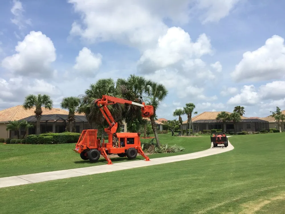 Professional landscaping services in Sarasota, FL by All Florida Tree Care