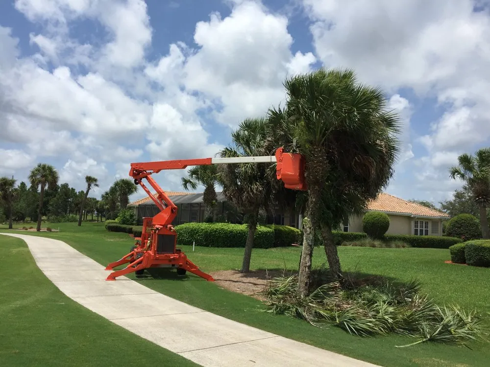 Custom yard maintenance experts serving Sarasota, FL - All Florida Tree Care