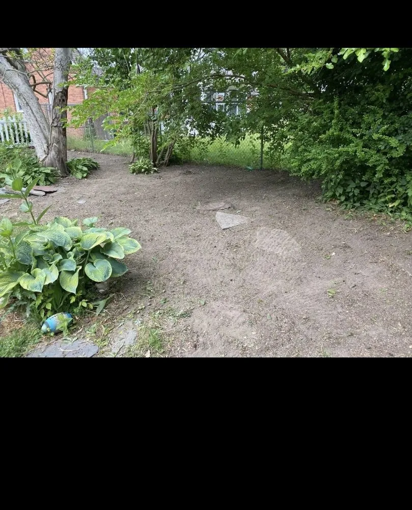 Trusted outdoor landscaping in Schenectady, NY by All For 1 For All