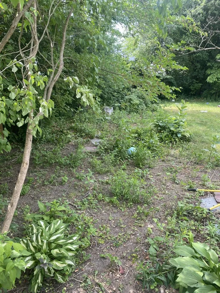 Reliable yard maintenance in Schenectady, NY by All For 1 For All