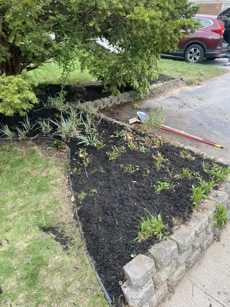 Trusted landscape design experts serving Schenectady, NY - All For 1 For All