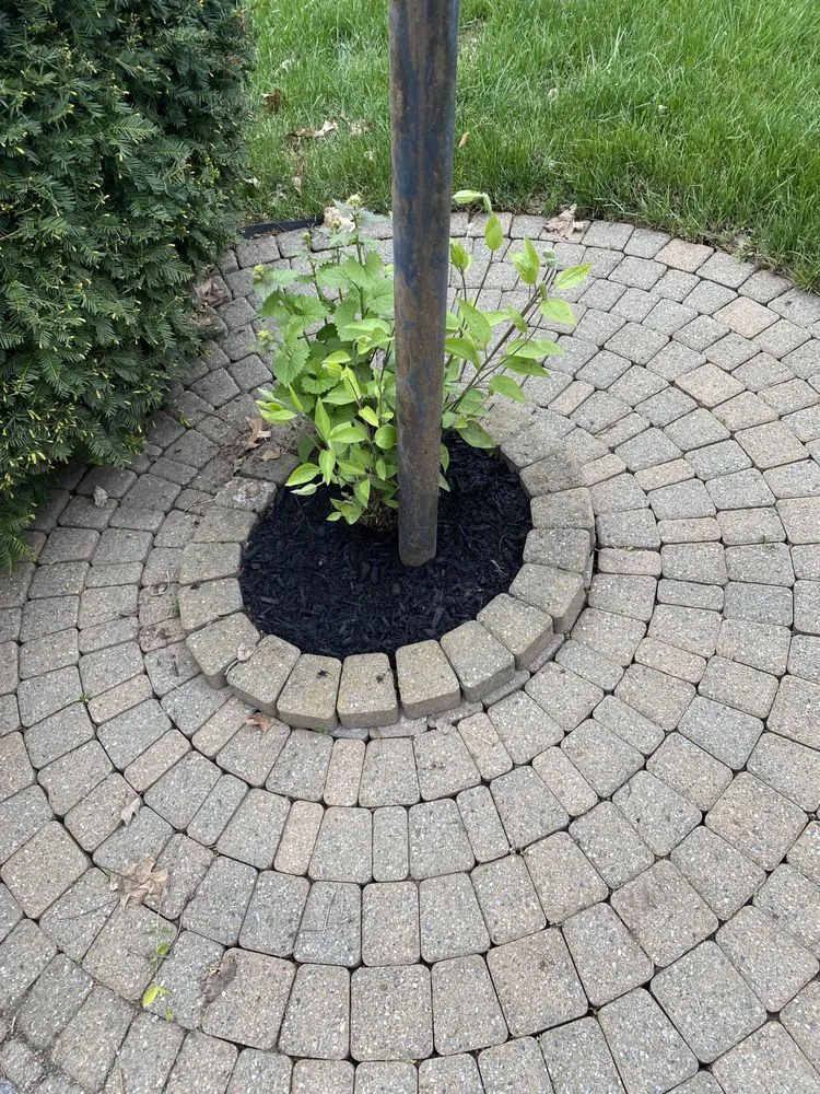 Trusted landscaping services in Schenectady, NY by All For 1 For All