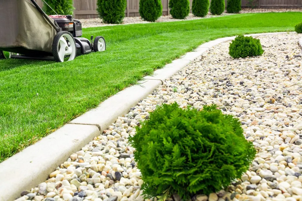Expert yard cleanup service in Loganville, GA - All For One Lawn Care Service