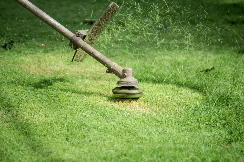 Reliable garden landscaping for homes across Loganville, GA - All For One Lawn Care Service