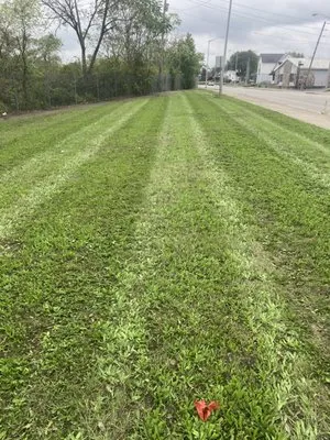 All For You Lawn Care Logo