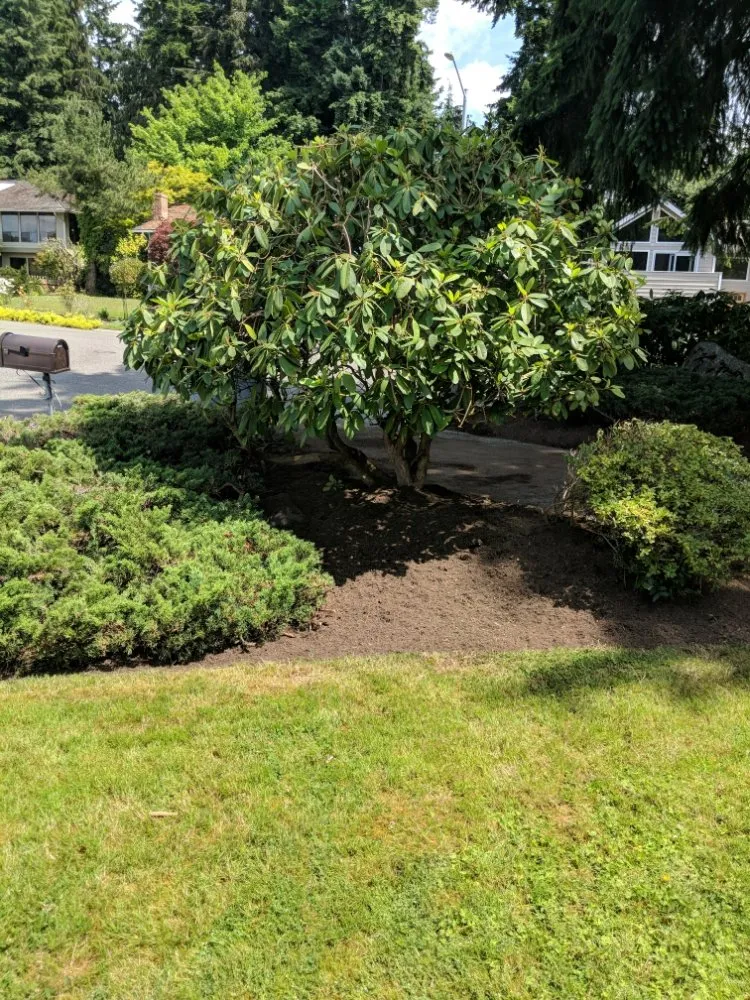 Reliable landscape design for outdoor upgrades across Tulalip, WA - All Four Seasons Landscaping And Maintenance