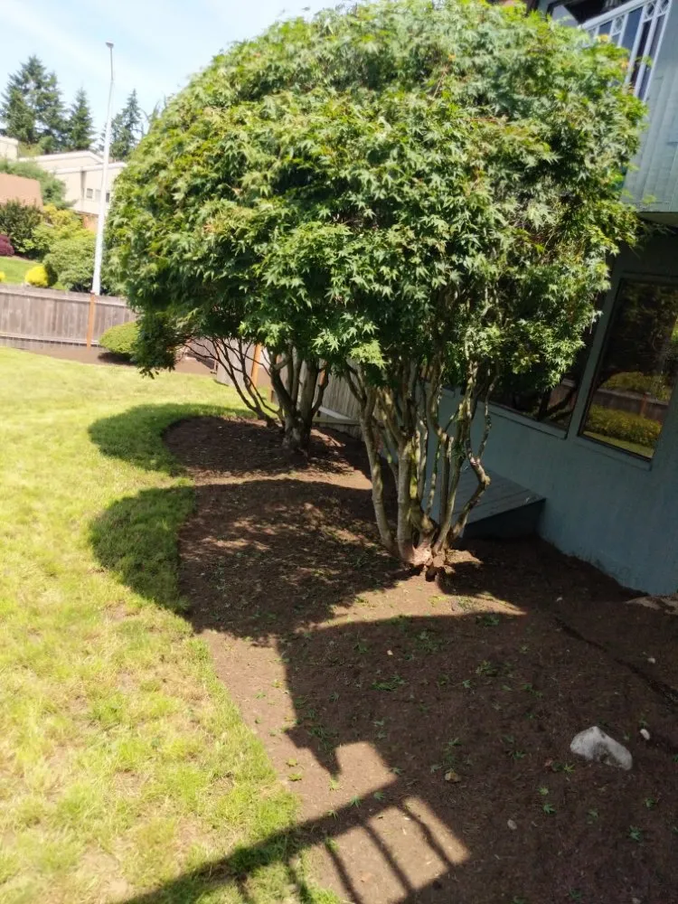 Custom residential landscaping in Tulalip, WA - All Four Seasons Landscaping And Maintenance