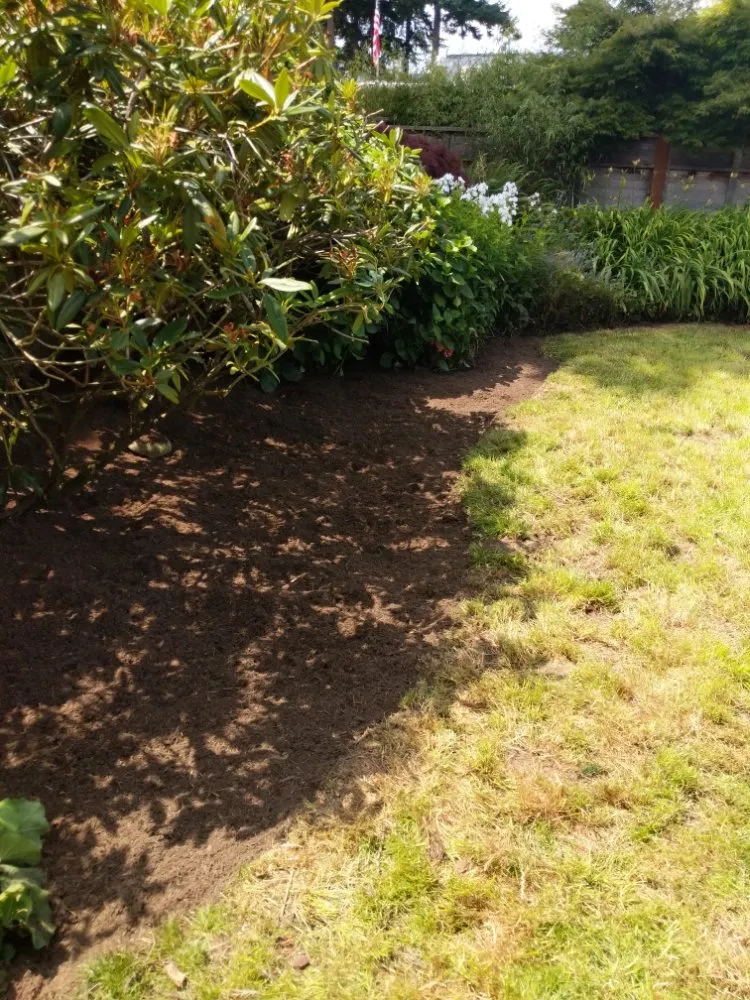 Top-rated lawn mowing service for outdoor upgrades across Tulalip, WA - All Four Seasons Landscaping And Maintenance
