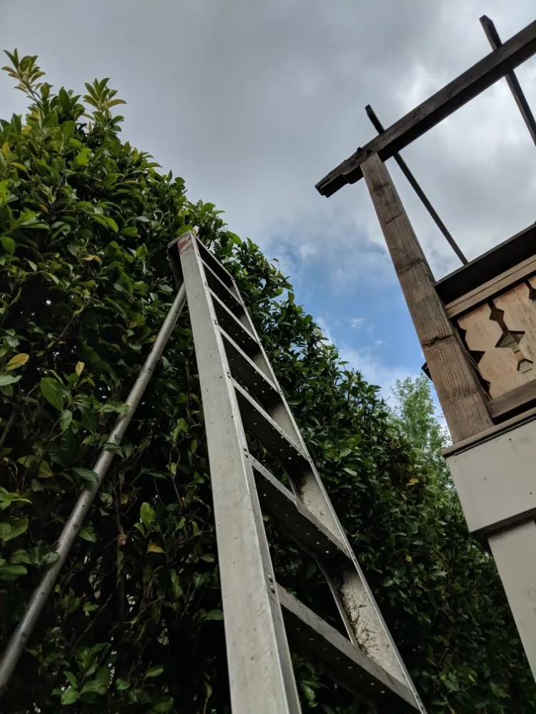 Trusted lawn mowing service for year-round maintenance in Tulalip, WA by All Four Seasons Landscaping And Maintenance