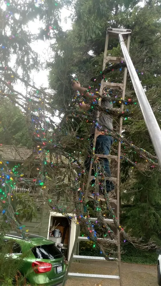 Local residential landscaping for outdoor upgrades across Tulalip, WA - All Four Seasons Landscaping And Maintenance