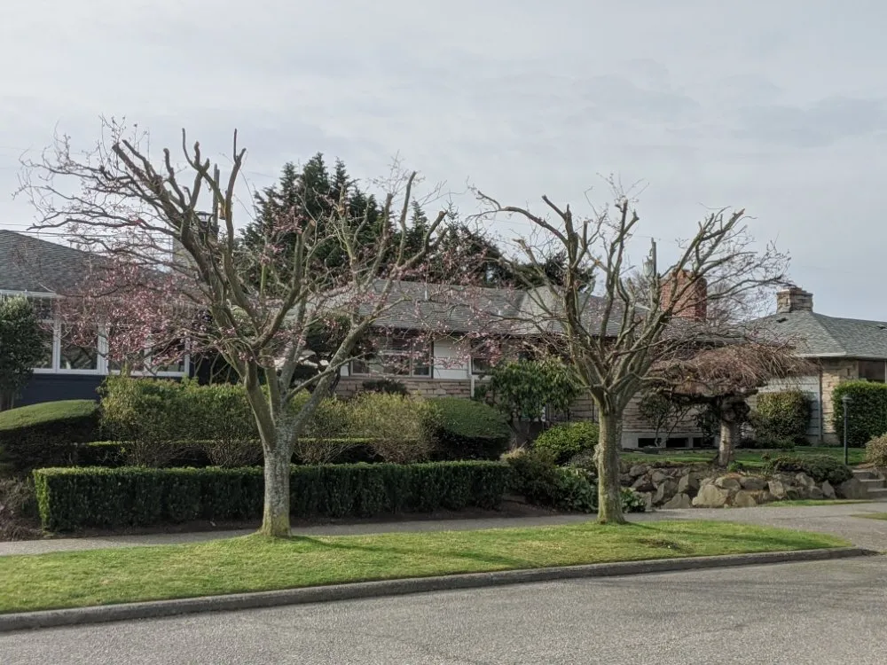 Professional lawn care service in Tulalip, WA - All Four Seasons Landscaping And Maintenance