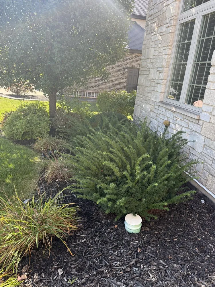 Custom residential landscaping experts serving Joliet, IL - All Four Seasons Services