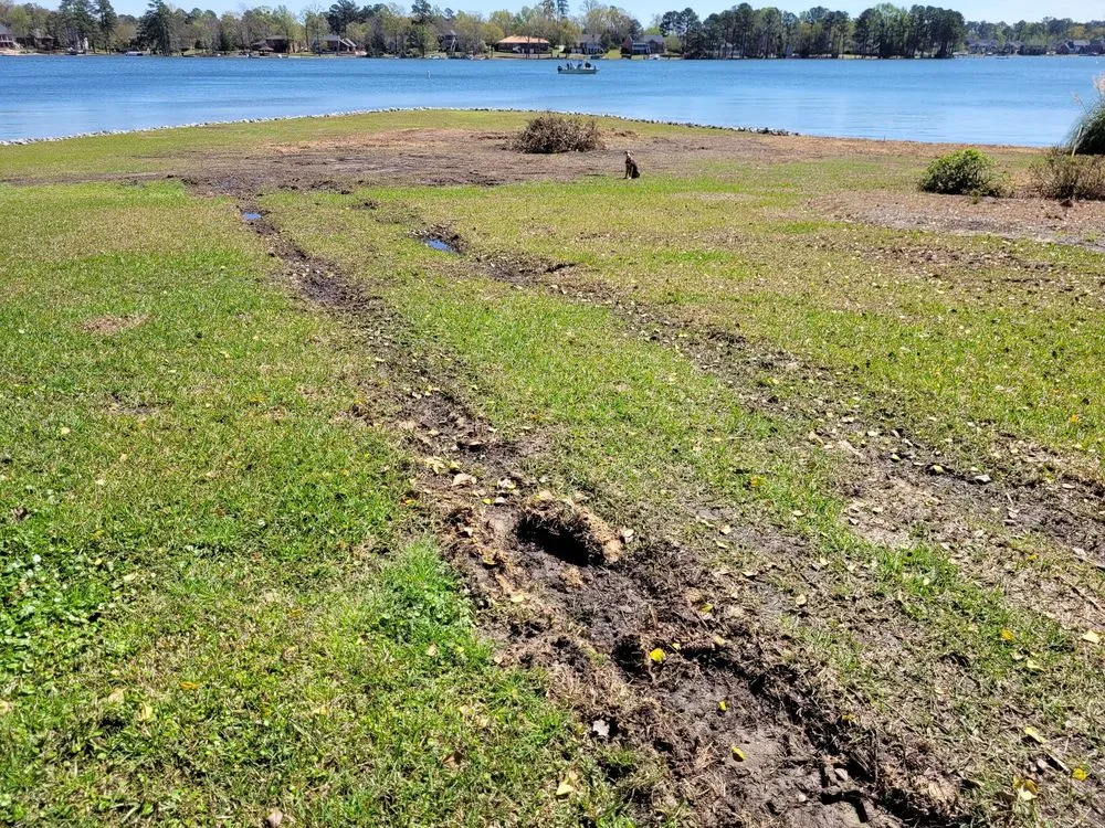 Trusted landscape design in Irmo, SC - All Good Lawn & Tree Services