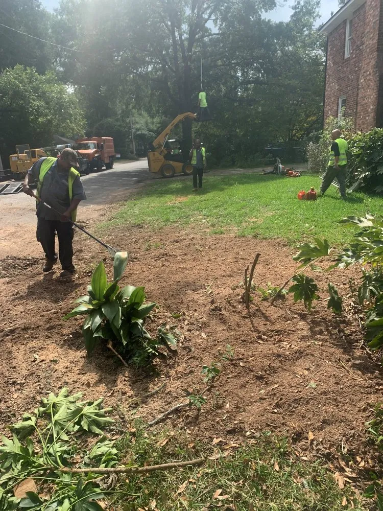 Custom yard maintenance in Irmo, SC - All Good Lawn & Tree Services