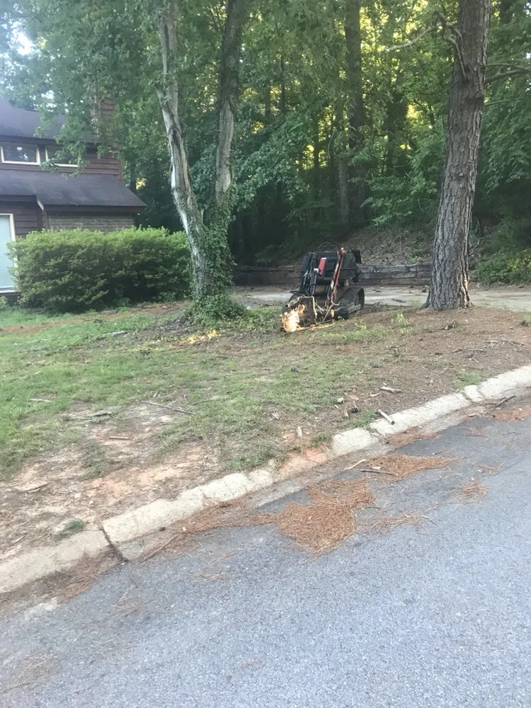 Affordable yard cleanup service experts serving Irmo, SC - All Good Lawn & Tree Services