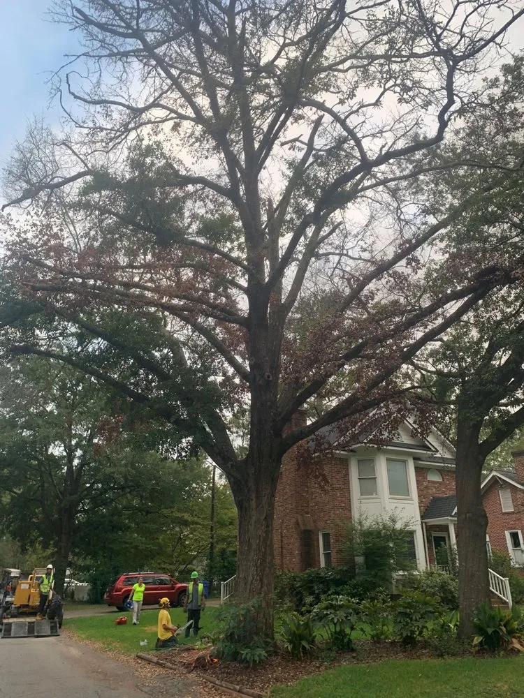 Trusted landscape installation in Irmo, SC - All Good Lawn & Tree Services