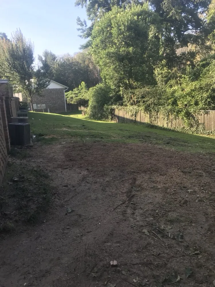 Local lawn care service in Irmo, SC - All Good Lawn & Tree Services