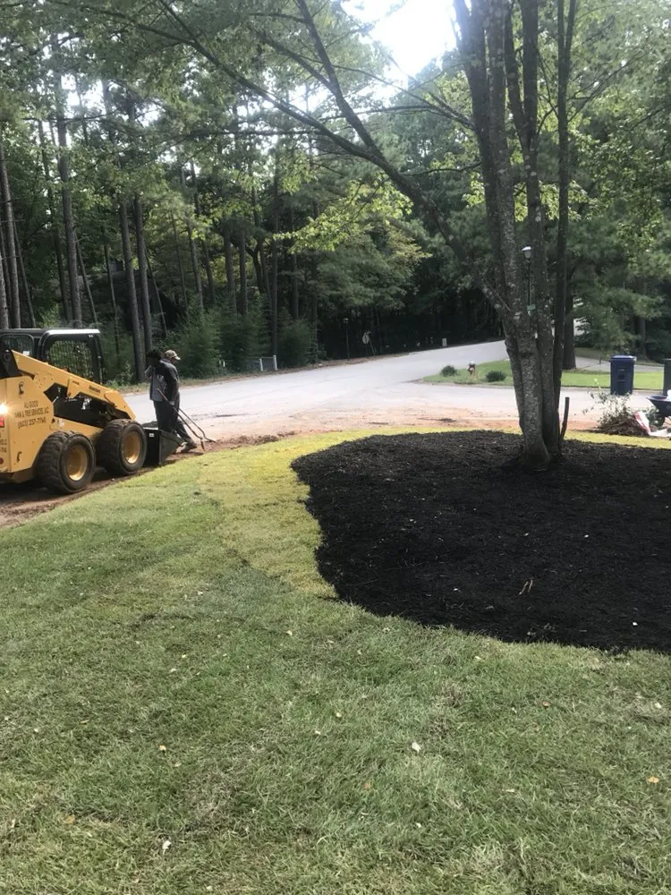 Expert lawn care service in Irmo, SC - All Good Lawn & Tree Services