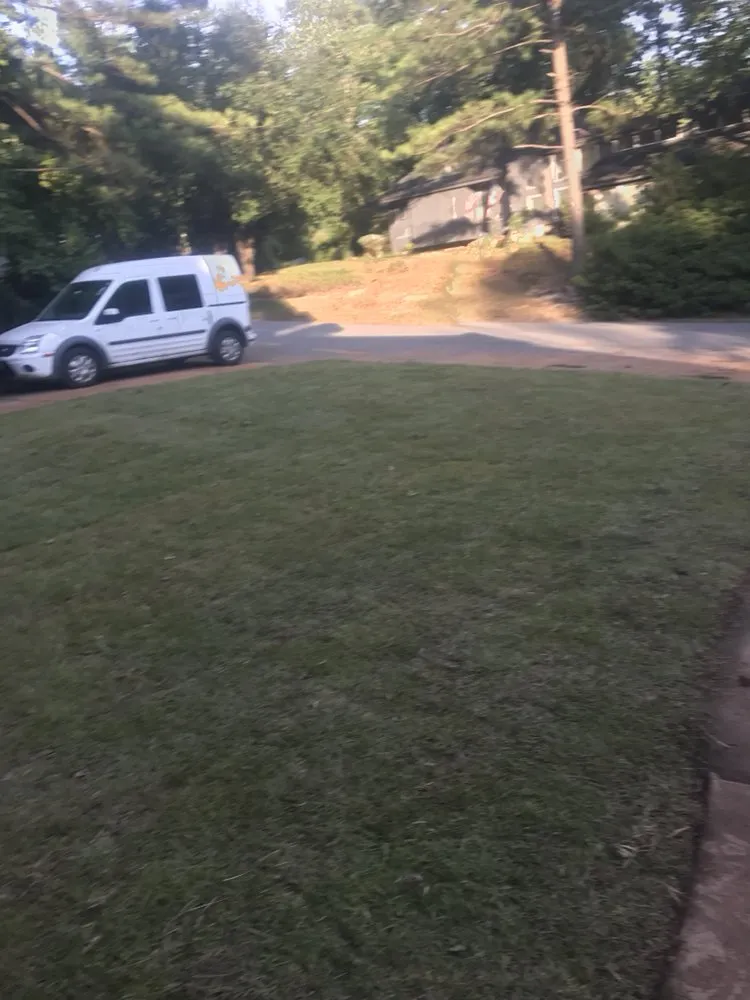 Local landscaping services for residential properties in Irmo, SC by All Good Lawn & Tree Services