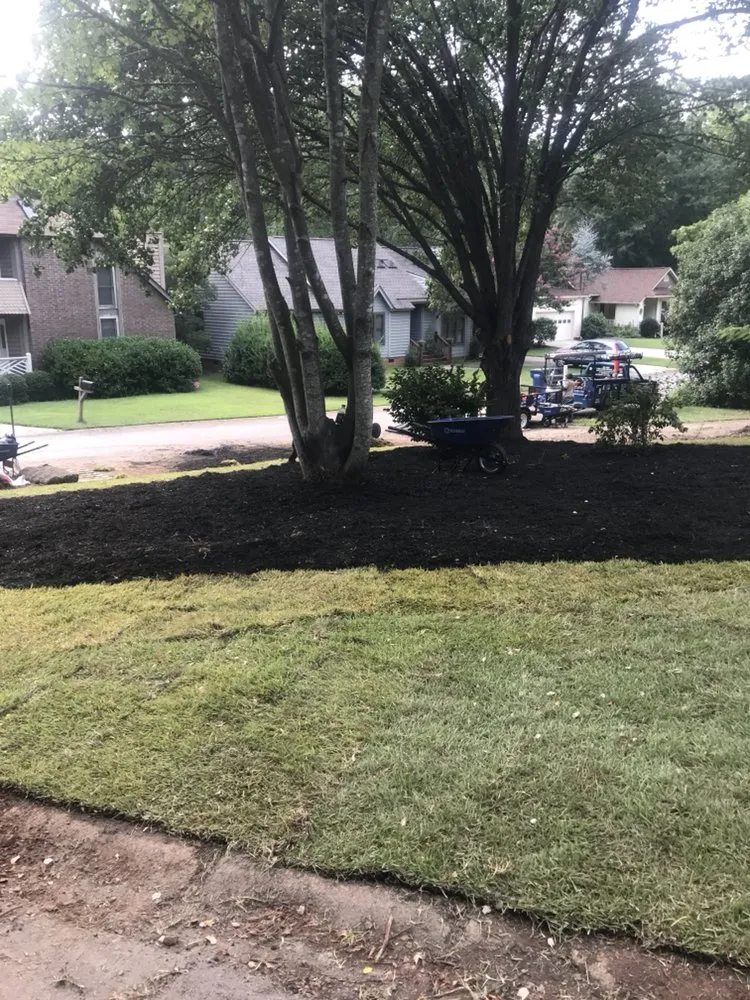 Affordable landscape design in Irmo, SC by All Good Lawn & Tree Services